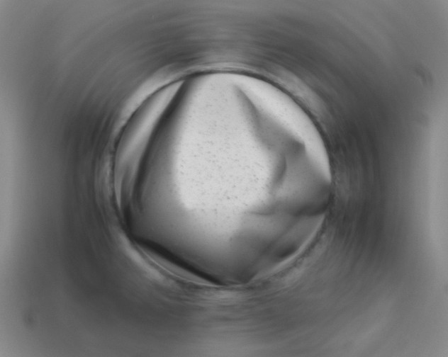 X0000113541382200910091234