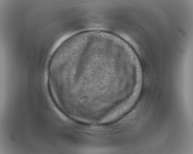 X0000113541383200910091234