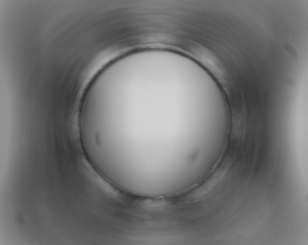 X0000113541384200910091234