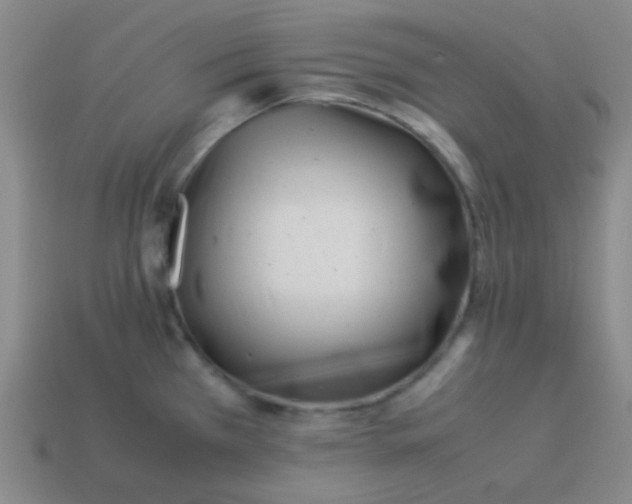 X0000113541385200910091234