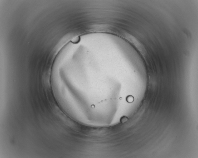 X0000113541386200910091234