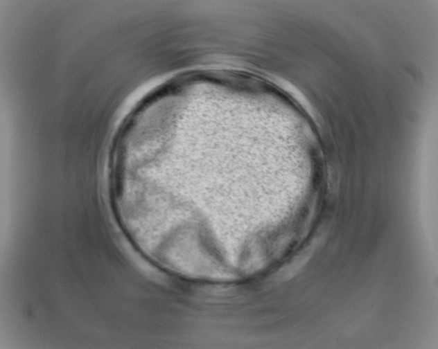 X0000113541387200910091234