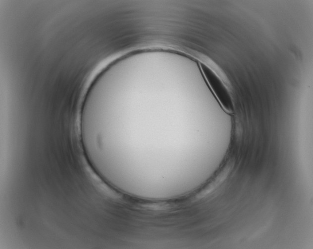 X0000113541388200910091234