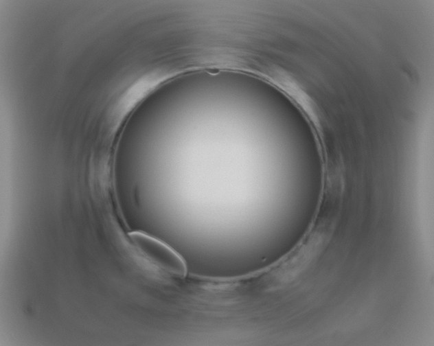 X0000113541389200910091234