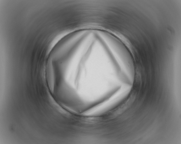 X0000113541390200910091234