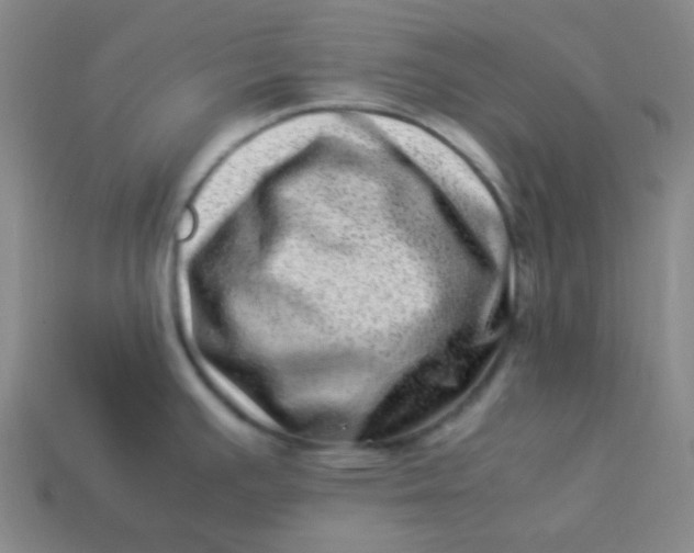 X0000113541391200910091234