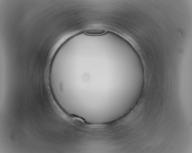 X0000113541392200910091234