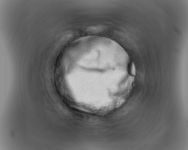 X0000113541393200910091233