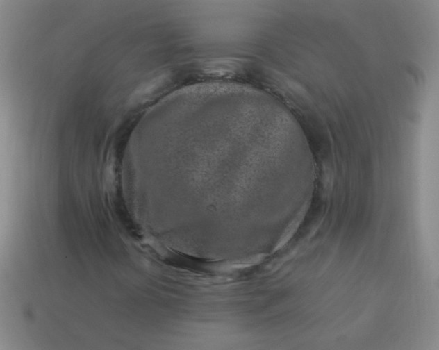 X0000113541394200910091234