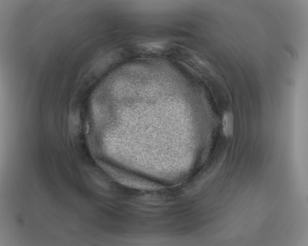 X0000113541395200910091234