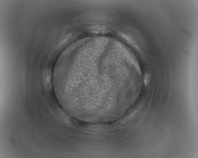 X0000113541396200910091234