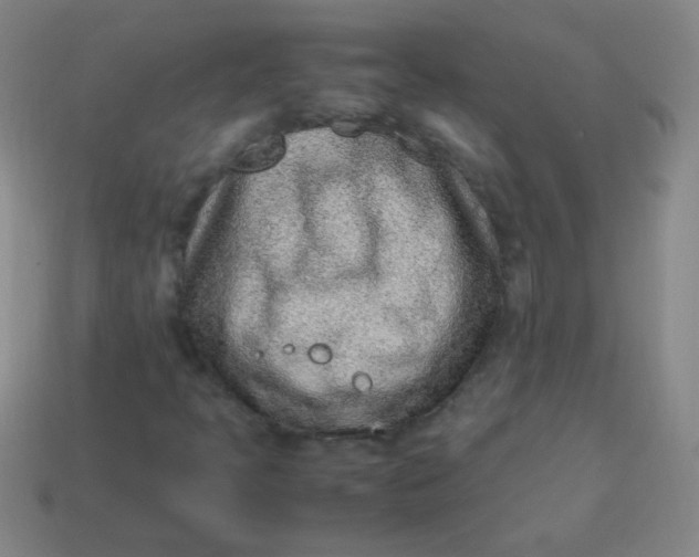 X0000113541397200910091234