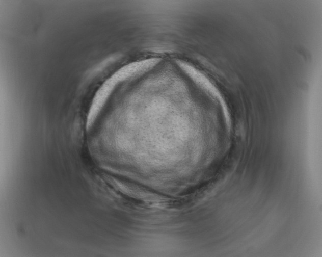 X0000113541398200910091234