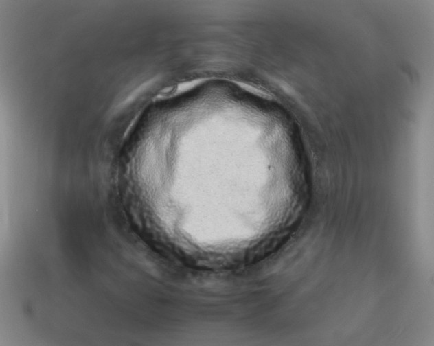 X0000113541399200910091234