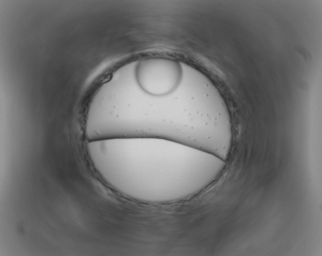 X0000113541400200910091234