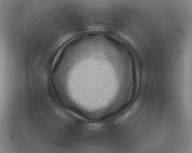 X0000113541401200910091234