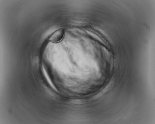 X0000113541402200910091234