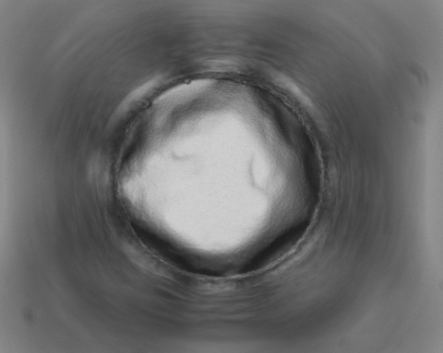 X0000113541403200910091234