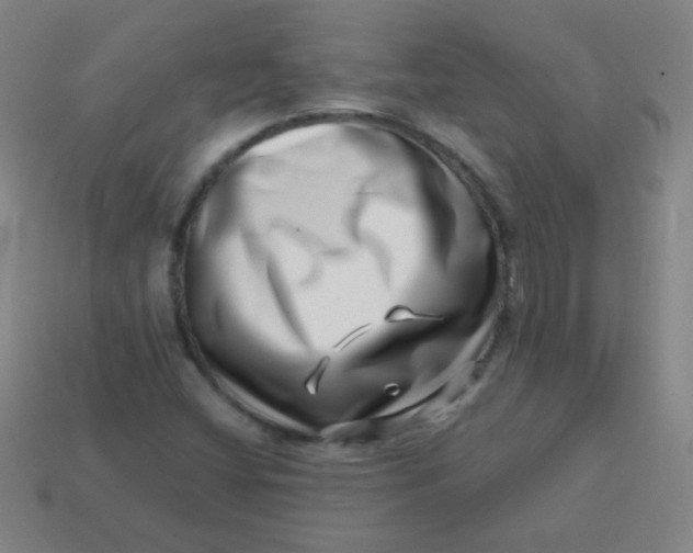 X0000113541404200910091234