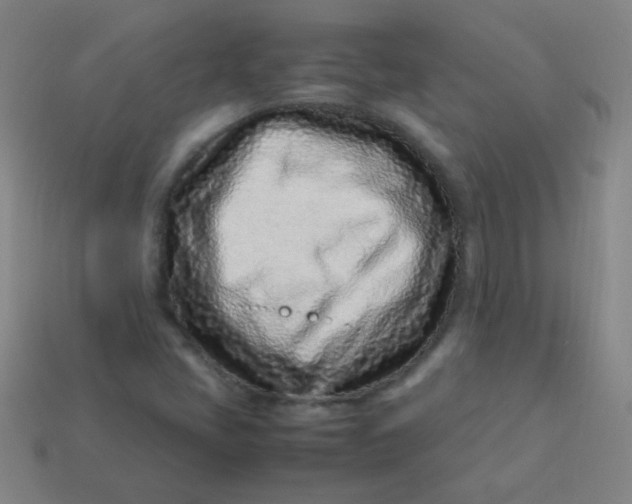 X0000113541405200910091234