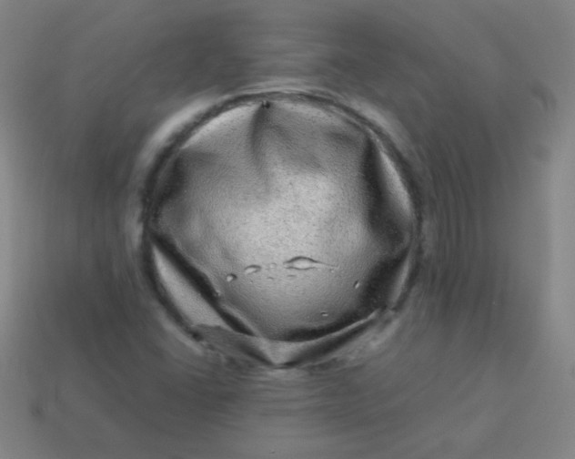 X0000113541406200910091234