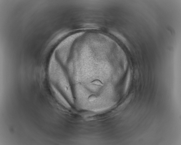 X0000113541407200910091234