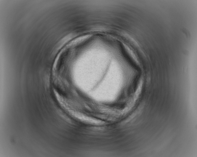 X0000113541409200910091234