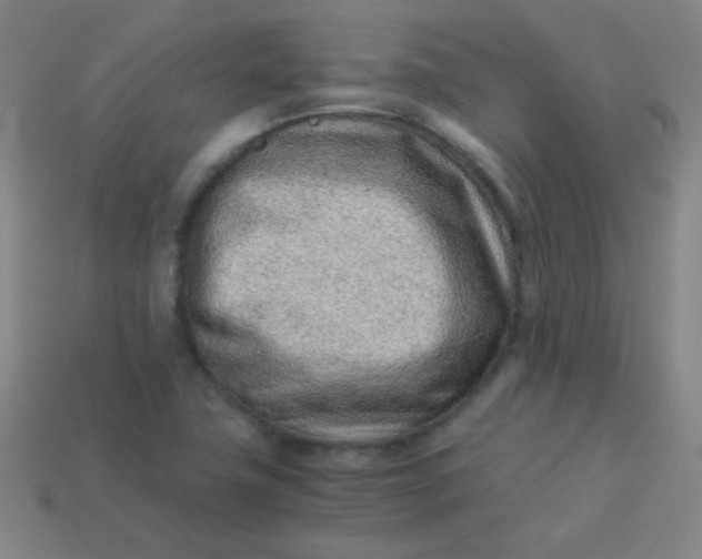 X0000113541411200910091234