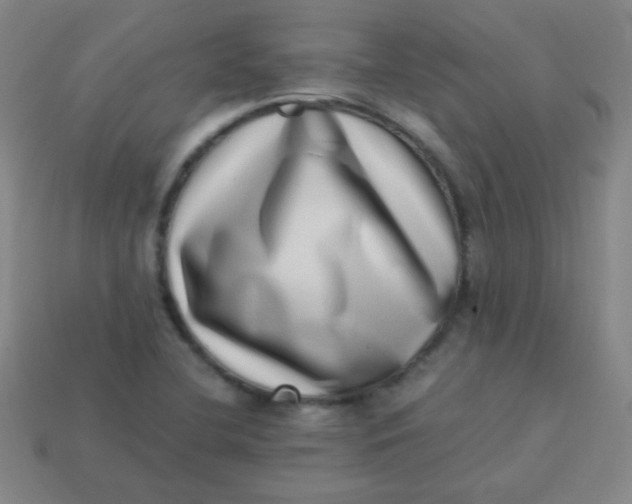 X0000113541412200910091234