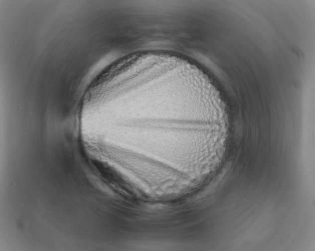 X0000113541413200910091234