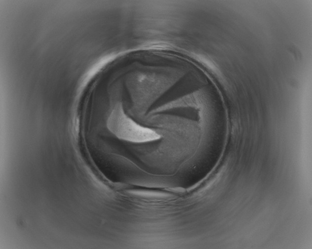 X0000113541414200910091234