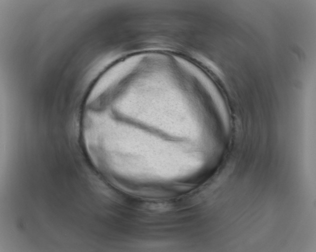 X0000113541415200910091234