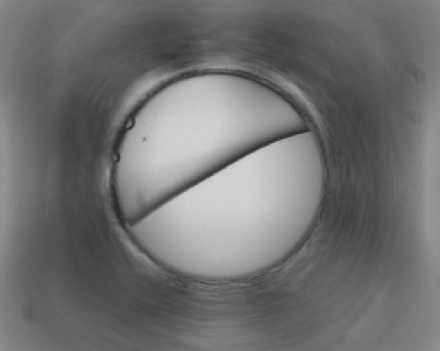 X0000113541416200910091234