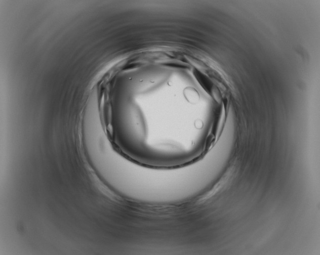 X0000113541417200910091234