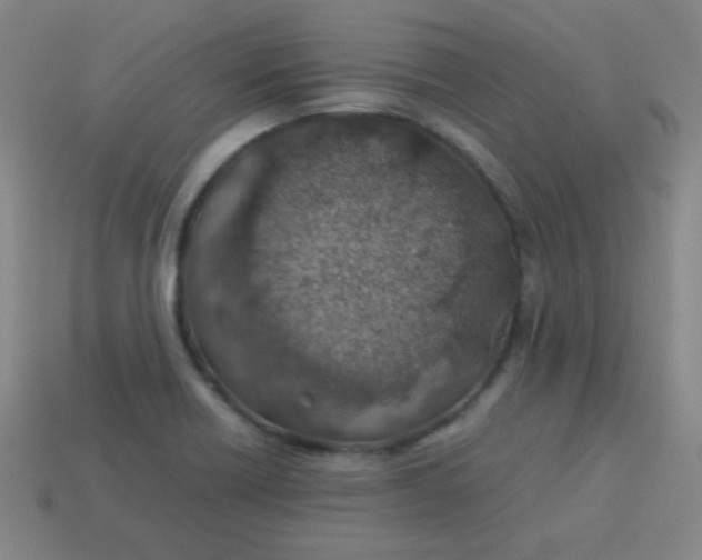 X0000113541418200910091234