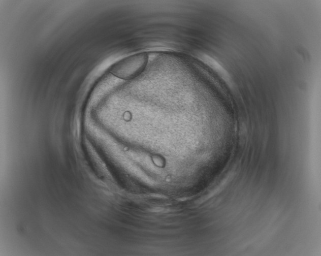 X0000113541419200910091234