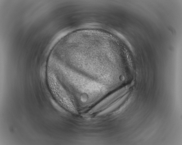 X0000113541421200910091234