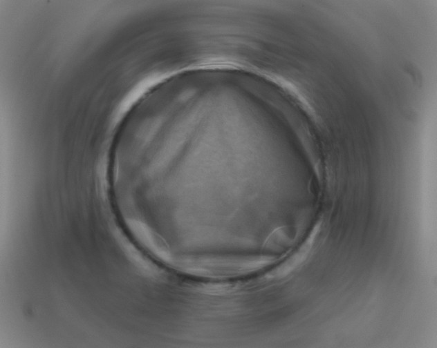 X0000113541422200910091234