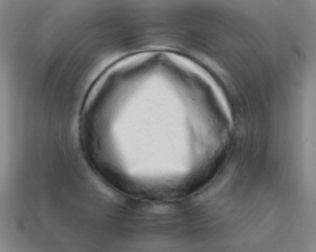 X0000113541423200910091234