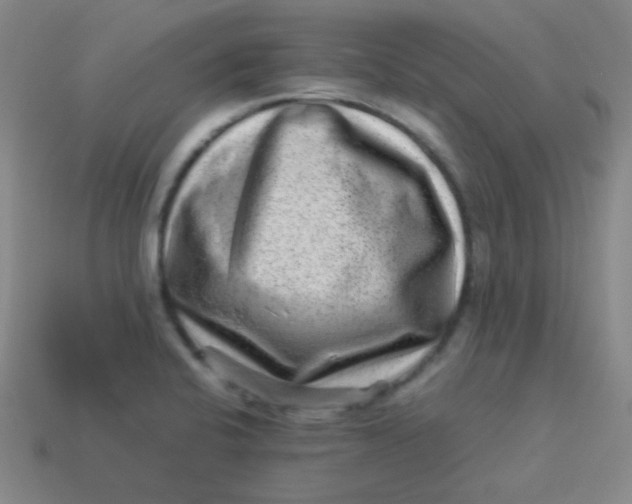 X0000113541424200910091234