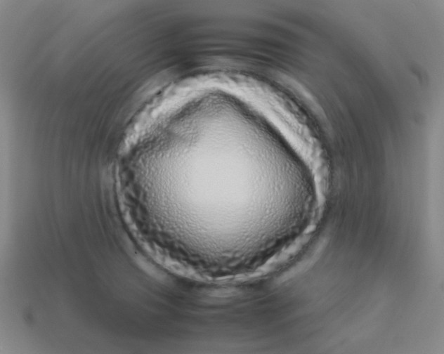 X0000113541425200910091234