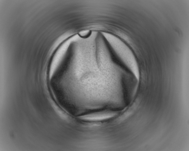 X0000113541426200910091234