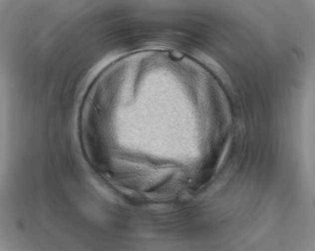 X0000113541427200910091234