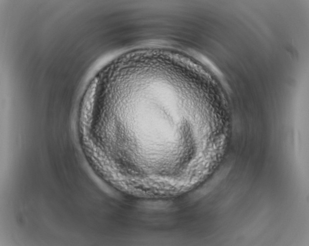 X0000113541429200910091234