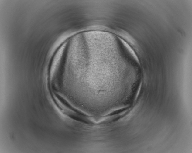 X0000113541430200910091234