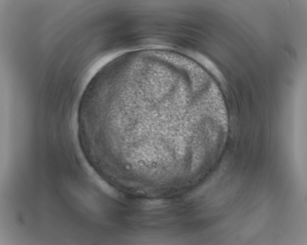 X0000113541431200910091234