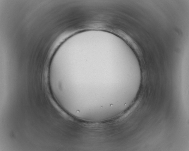 X0000113541432200910091234