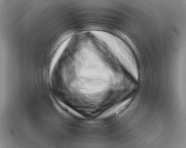 X0000113541433200910091234