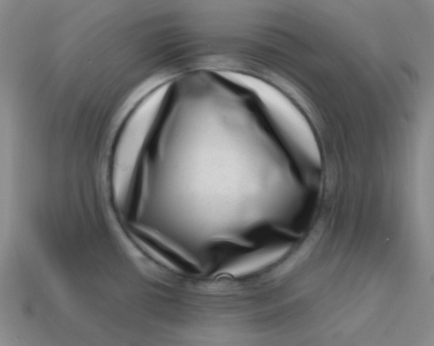 X0000113541434200910091234