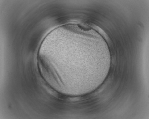 X0000113541435200910091234